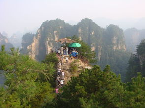 想到张家界没有约束的玩几天,有没有当地向导 导游介绍一个