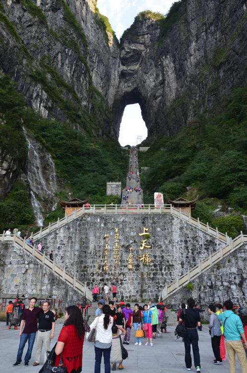 沈阳去张家界旅游线路推荐 当地口碑好的导游介绍 住哪里方便