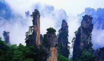 国庆节去张家界旅游的10大注意事项 张家界本地导游温馨提示