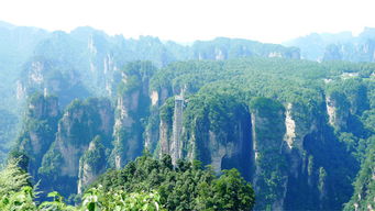 春节张家界旅游 张家界自由行导游 张家界导游 口碑好 责任心推荐
