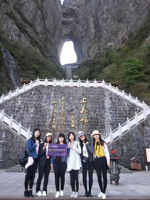 张家界大峡谷不在森林公园里吗 玻璃栈道和玻璃桥是一个地方吗