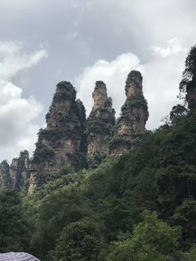 去张家界旅游找评价不错的正规美女导游服务