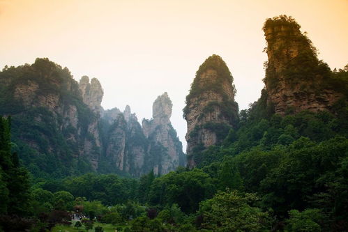 北京到张家界口碑好导游 之 张家界旅游景点有哪些