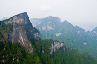 朋友给我推荐的一位导游,服务超级好 张家界游记攻略