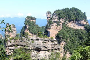 张家界小包团自由行 口碑好导游 游客朋友们