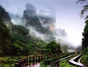 金鞭溪和十里画廊景点介绍 张家界导游服务推荐