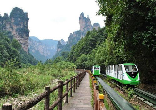 想去张家界怎么问导游 今日头条