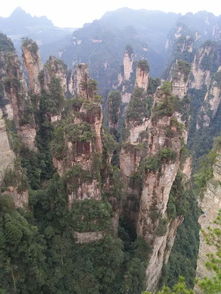 诗情画意 醉美张家界