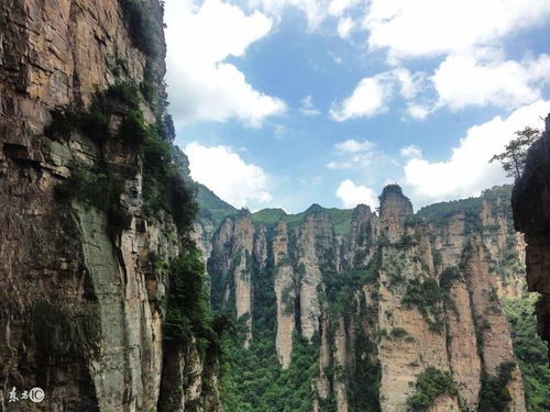 张家界导游阿妹为您提个醒,去张家界旅游跟团注意事项