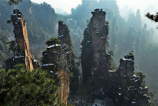 17年 请张家界靠谱导游 家庭私人导游,接地气