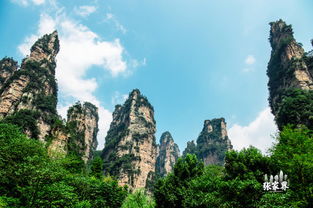 张家界自助游,导游让你花更少的钱,畅游张家界