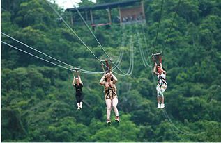 张家界23年当地导游推荐,张家界 凤凰精品攻略