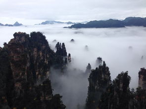 去张家界怎么找一个私人导游陪同 求导游电话