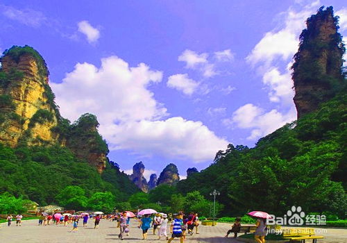 张家界自助游导游 旅游导游预订