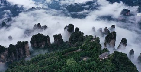 中国第一个国家森林公园张家界国家森林公园迎40周岁