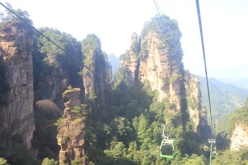 张家界私人定制小包团,一定请口碑好的导游 