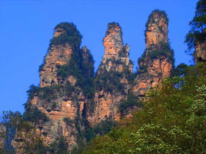 张家界导游电话,全程陪同服务 纯玩 开心