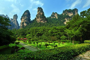 去张家界找导游, 导游靠不靠谱 有什么保障 求推荐