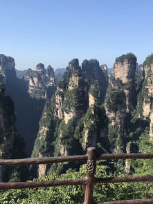 张家界旅游,跟团好还是请当地导游呢 张家界需要玩几天