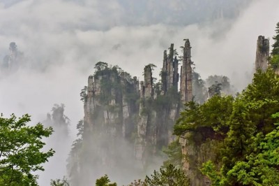 “国际张”定了个小目标:世界一流!