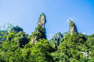 来张家界请当地导游 纯玩 不购物 不进店 导游风采