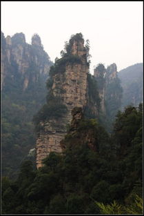 张家界正规私人导游,口碑好的当地导游值得推荐