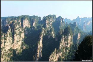 福建去张家界遇到口碑好导游,怪不得都选择他的理由 淳朴