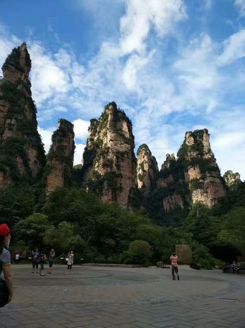 张家界旅游,安排纯玩线路,考虑口碑好的导游