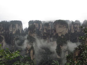 张家界比较好的导游提供 纯玩旅游 无购物