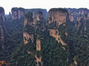 张家界美女导游提供,详细攻略,看看有帮助啦