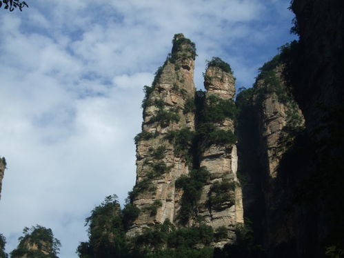 请张家界导游,首选张家界陈峰自助游俱乐部 旅游