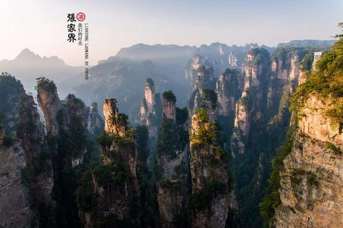 张家界旅游如何找到靠谱导游？详细指南与实用建议