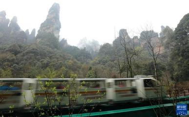 湖南张家界 春季旅游市场持续升温 张家界导游团队全力备战