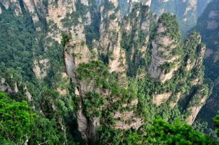 张家界当地导游 靠谱、用心、实在、优秀的旅行伙伴