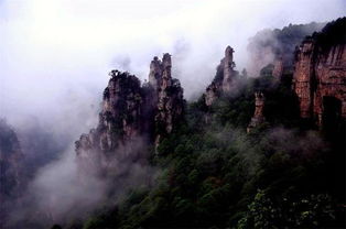 2017张家界自由行导游对驴友的真情忠告