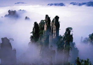 张家界自助游最新最全面攻略 当地导游陈晨的专业推荐