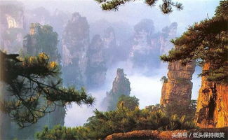 2017张家界旅游攻略 美女导游亲述，带你玩转张家界