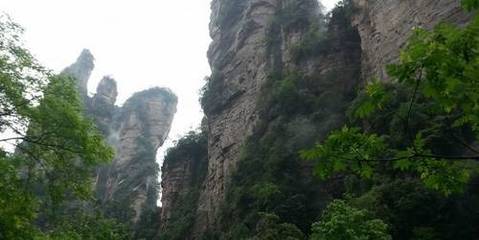 张家界旅游要多少钱, 去张家界旅游多少钱 长沙到张家界三日游