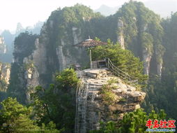 张家界导游评说 自助游与参团游的利弊对比