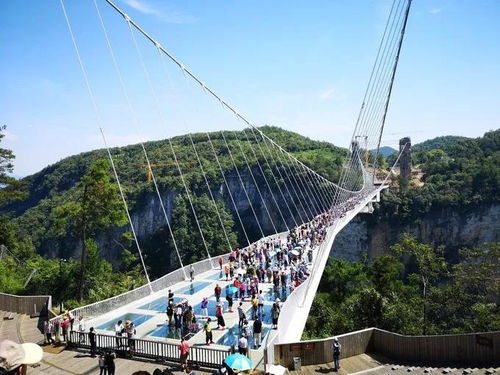 邂逅奇幻仙境 武陵源张家界深度导览之旅