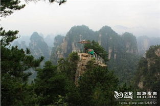 张家界家庭自由行全攻略 从自助游到自驾车服务与导游单请指南